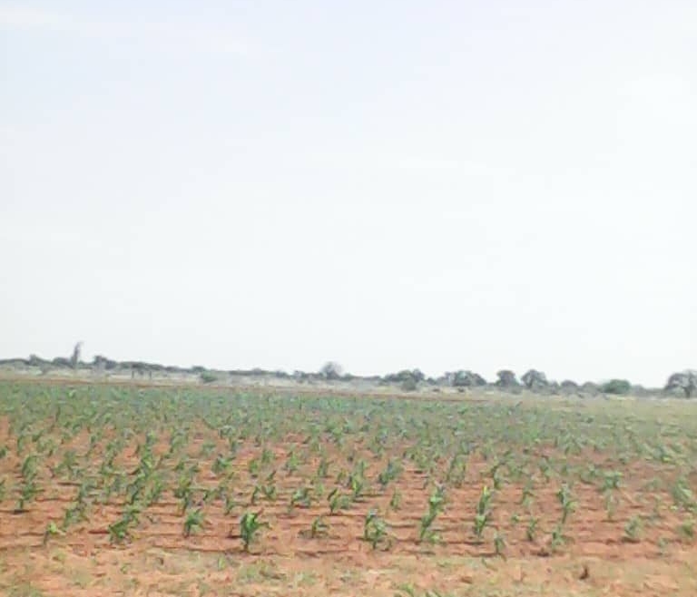 Agricultural Products